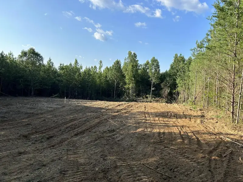 Cleared lot with a clean pine tree line