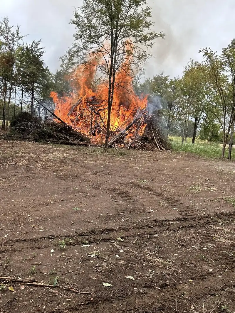 Burn pile of cleared brush on a freshly cleared lot