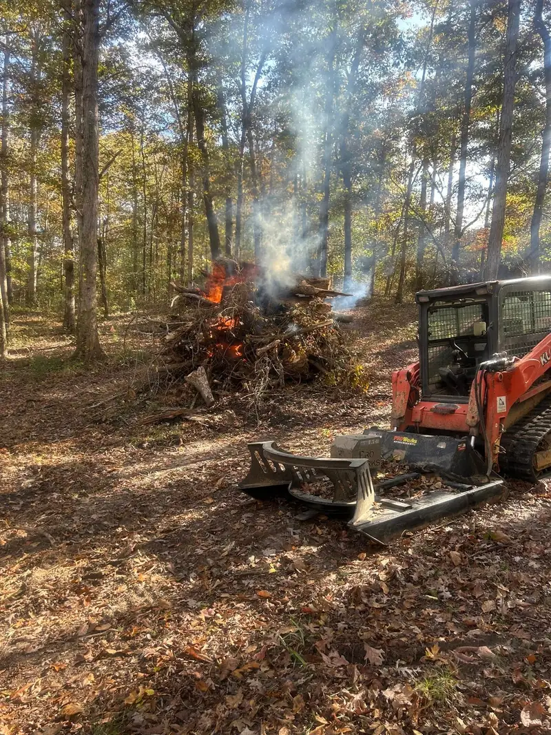 Skid steer with a mulcher clearing brush in the woods